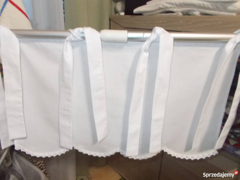 zazdroski na troczkach Włocławek