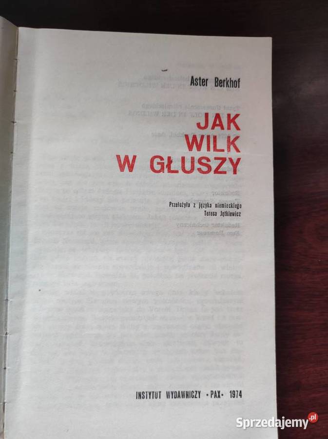 wilk w głuszy Aster Berkhof Kielce