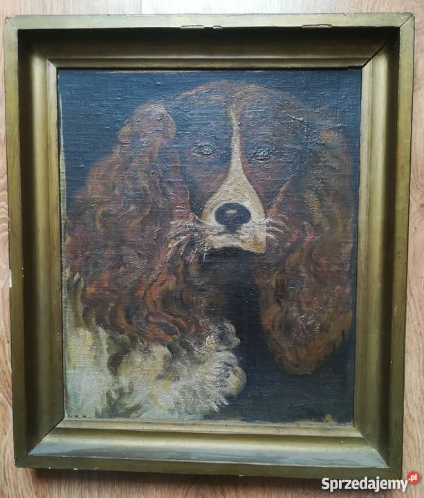 Obraz olejny W HASIOR Portret psa Kraków