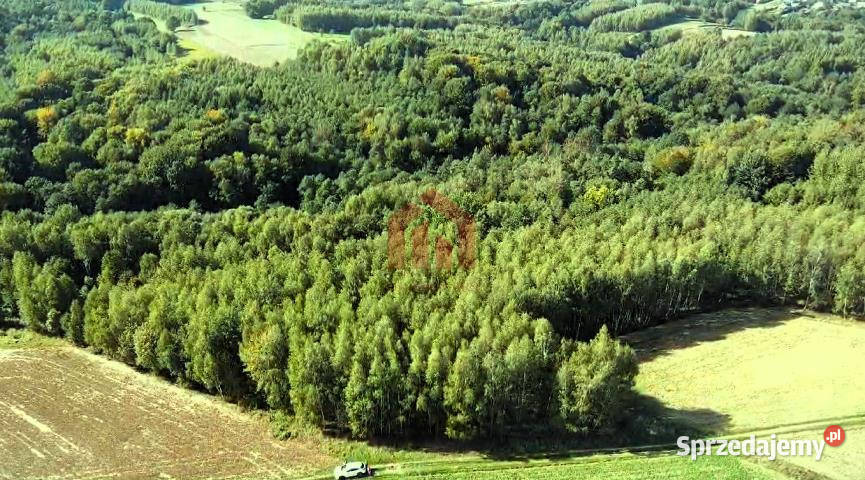 Grunt 15800m2 Gnojnica 4zł/m2 podkarpackie