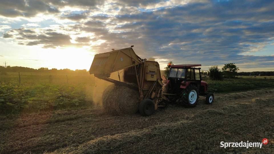 Bele Siana 130 1 i 2 Pokos Bobrowice