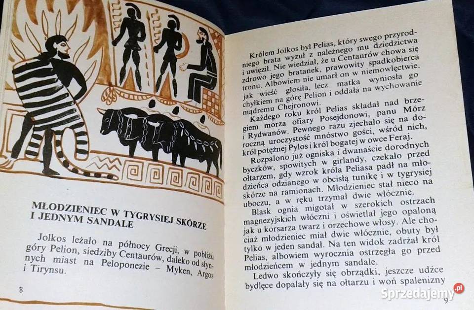 Wyprawa złote runo Jadwiga Żylińska Chełm sprzedam