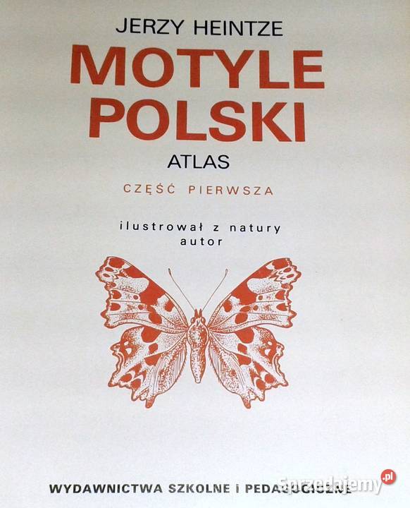 Motyle Polski Jerzy Heintze Chełm