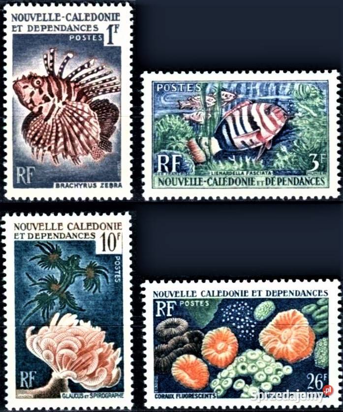 NOWA KALEDONIA 19591965dwie serieżycie morskie Filatelistyka Człuchów