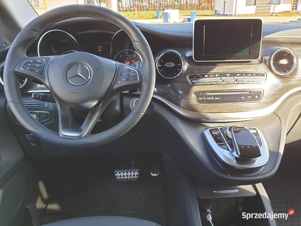 przewóz osób busy Holandia Niemcy Polkowice