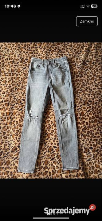 Spodnie M38 Wrocław