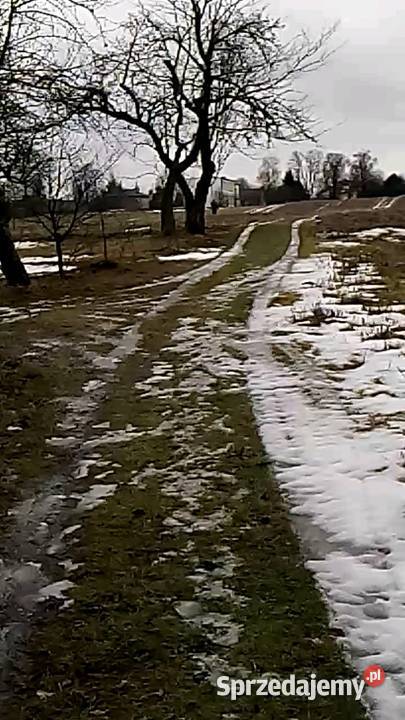Gospodarstwo rolne działka 2ha Kowalin