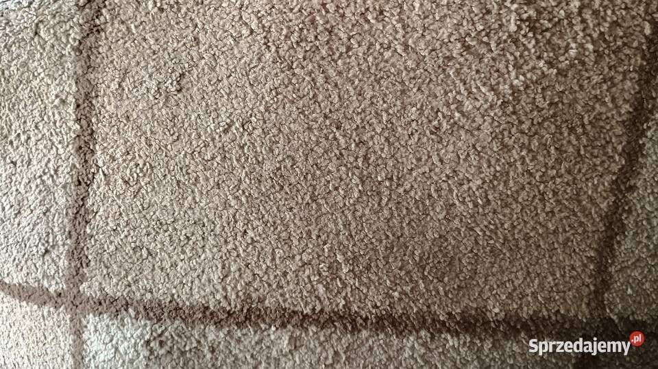 dywan wełniany wełna Dywany