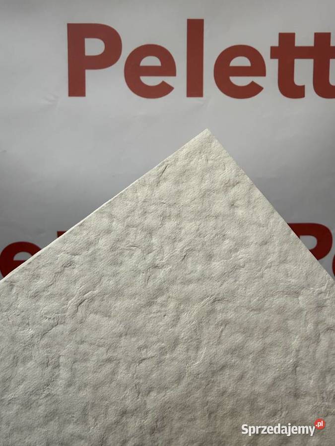 OKAZJA Peletto Filtr płytkowy do oleju FP6 z Pozostałe Poznań