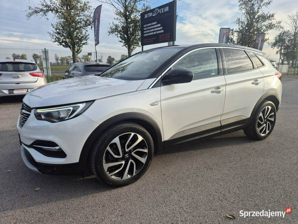 Opel Grandland X 12Turbo 130 Biała Perła Gniewkowo