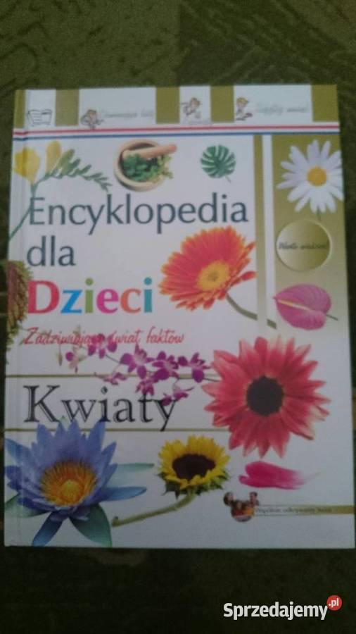 Encyklopedia dzieci Zadziwiający świat faktów twarda
