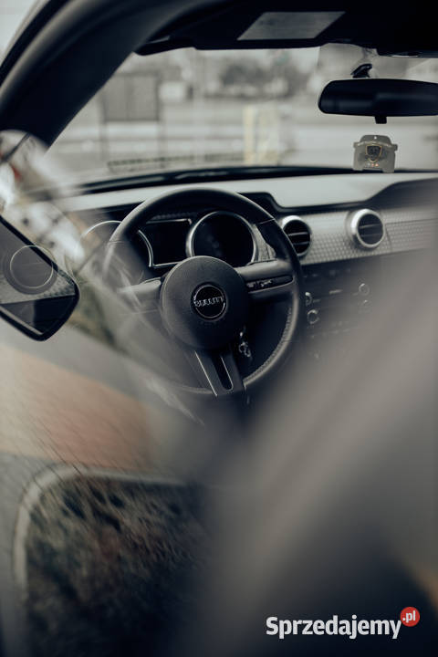 Ford Mustang Bullitt 2008r 46 V8 seryjny 3797 benzyna Nisko