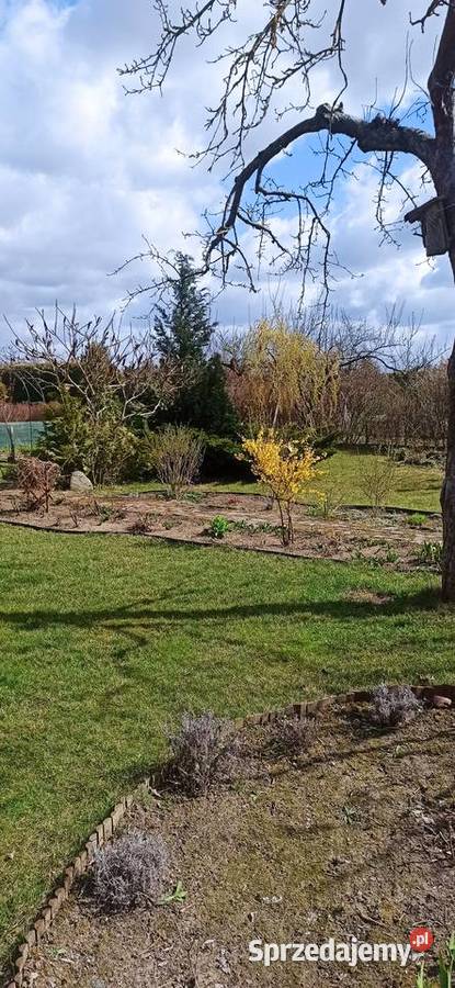 Piękna działka ROD rekreacyjna Janikowo