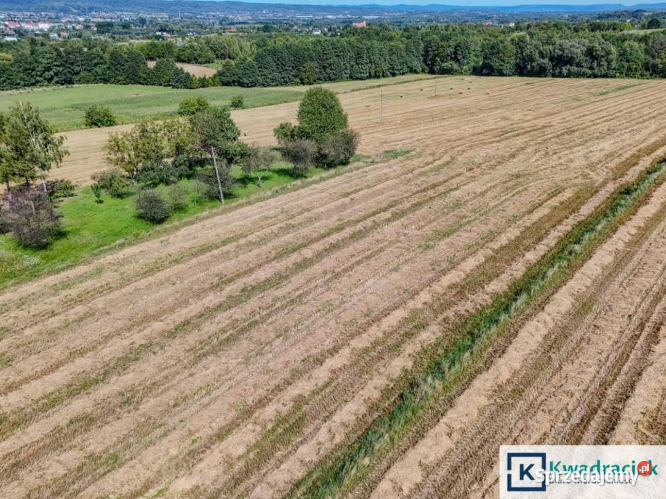 Działkę sprzedam 2800m2 Jasło