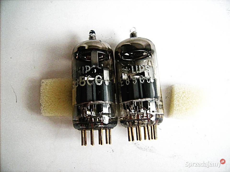 E88CC PHILIPS SQ GOLD PIN dobrana PARA z lat Porąbka