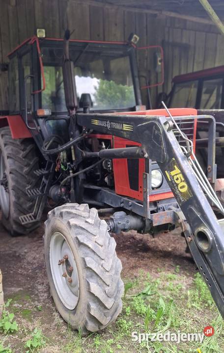 Ciągnik MTZ z turem bass trima Pieniężno