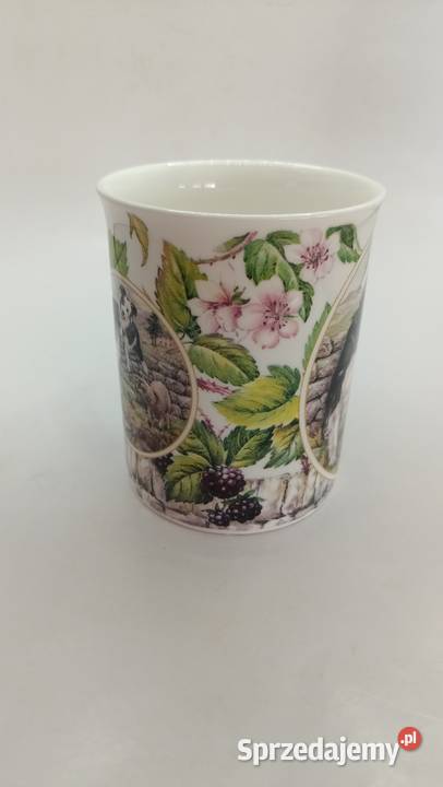 Kubek England pies owczarek collie Zamość