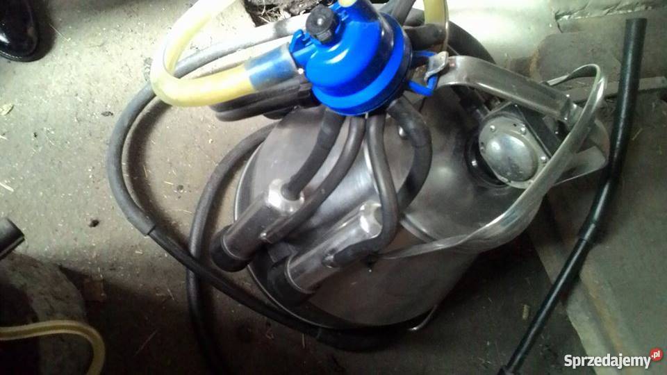 Dojarka jednokonwiowa nowy pulsator Bydło mleczne małopolskie Borzęcin