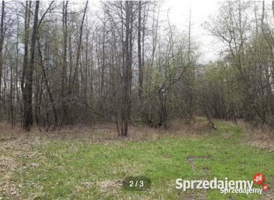 Działka Wartą Trzebca 2700m2 7zł/m2