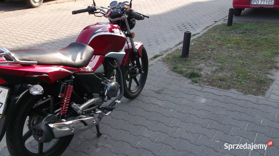 Kymco Pulsar S 125 Kat B Przebieg 500 Stan Poznań
