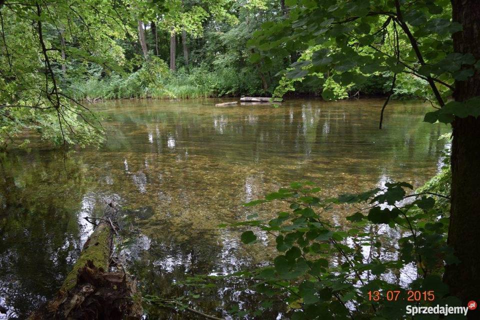Sprzedam dom rzeką na mazurach 100m2 Zielony Lasek