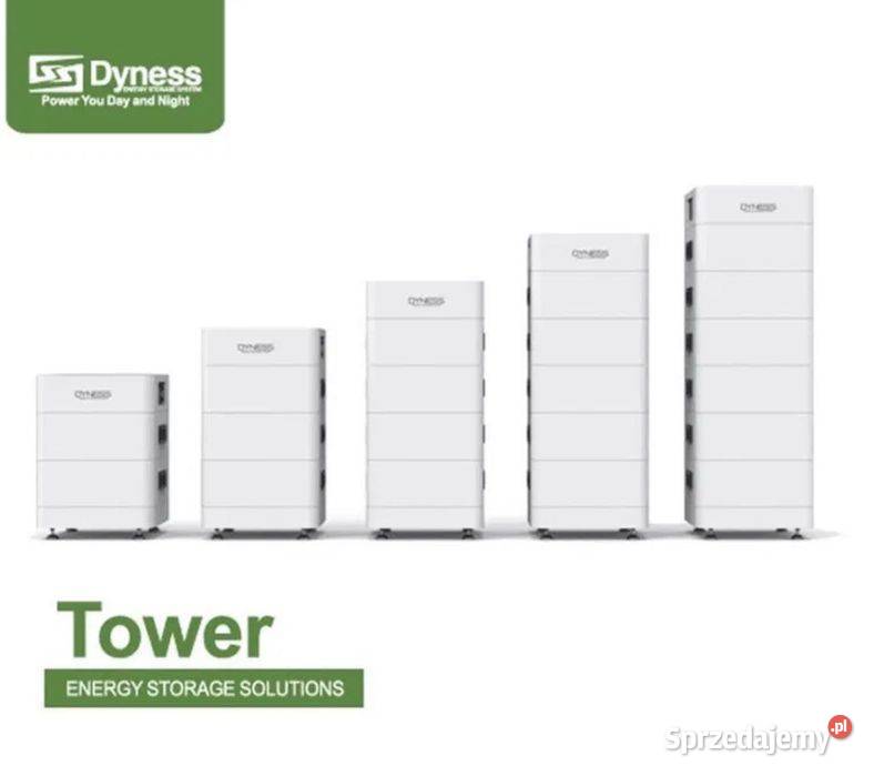 Dyness Tower T21 2131 kWh 17999 zVAT