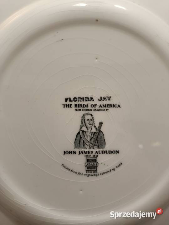 Talerz obiadowy birds America ilustra AUDUBONA Zamość