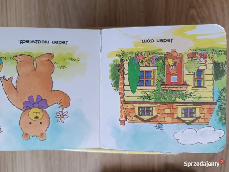 Cyfrowy domek niedźwiedzi 10 Lublin