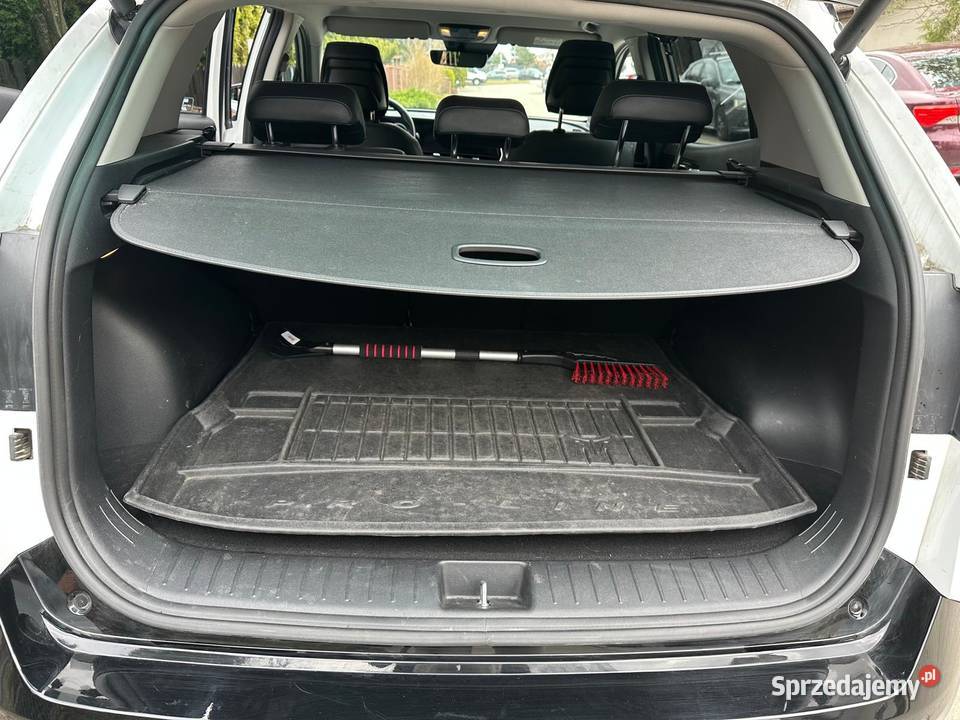 Kia Sportage 16 TGDI MHEV Business Line 2WD DCT Gdańsk
