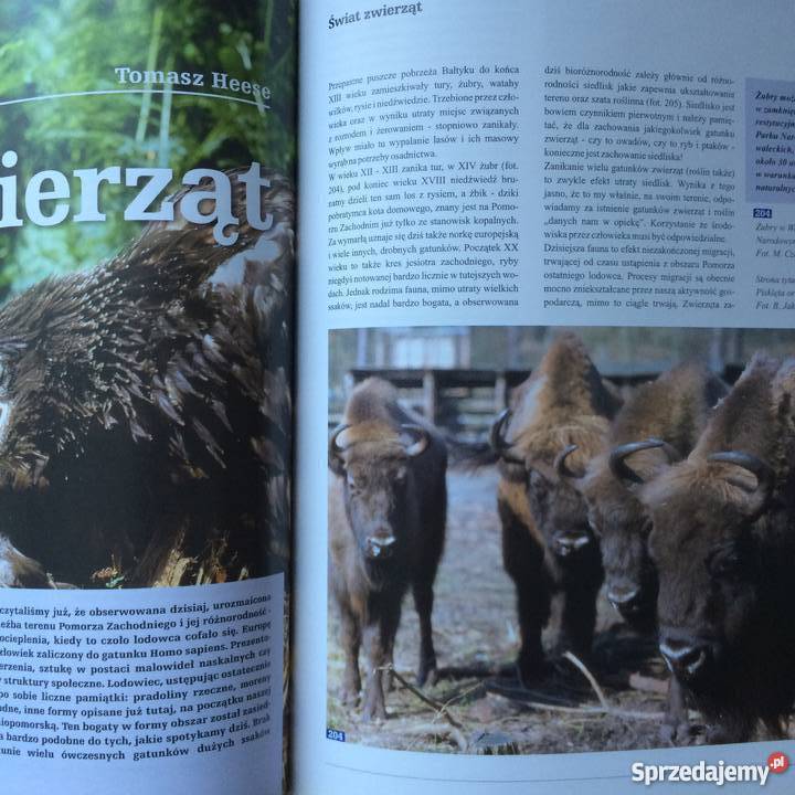 1084 Przyroda Pomorza Zachodniego zachodniopomorskie Szczecin sprzedam