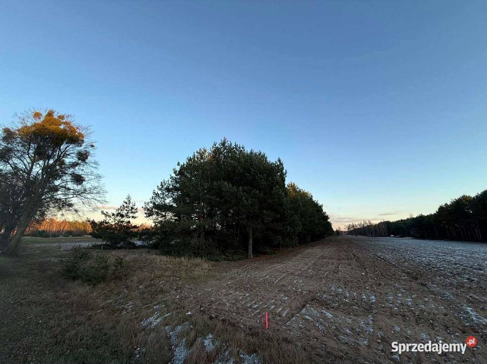 Działki budowlane na sprzedaż Józefowo k Słupcy Piotrowice