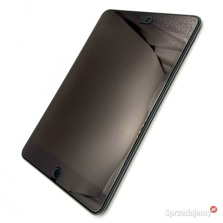 Tablet iPad mini 5 256gb space gray spigen Bluetooth  Warszawa sprzedam