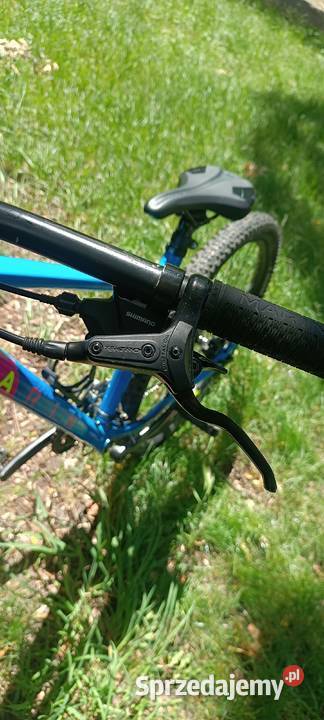 Marin Bobcat Trail 3 M Rower górski MTB Leszno