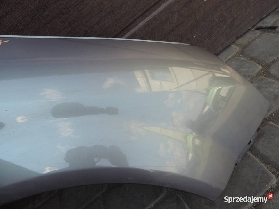 BŁOTNIK PRZEDNI PRAWY PRZEDNI RENAULT SCENIC 2 Nowy Sącz sprzedam