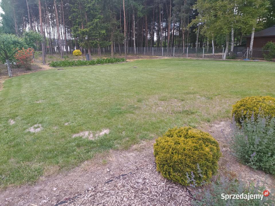 Działka rekreacyjna budowlana Radomsko