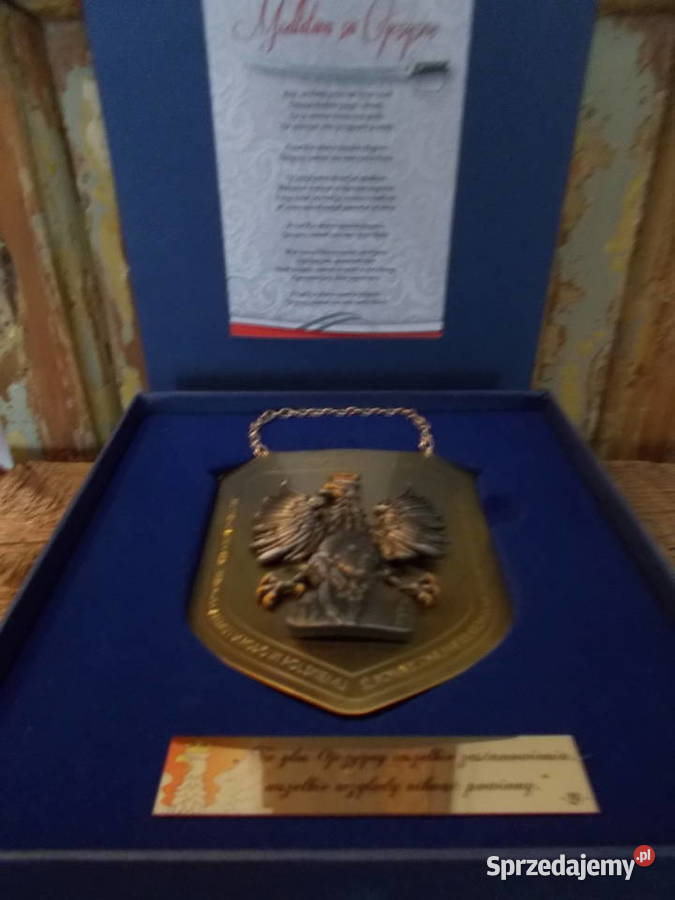Wyjątkowy Ryngraf TKościuszko mosiądz Szczecin
