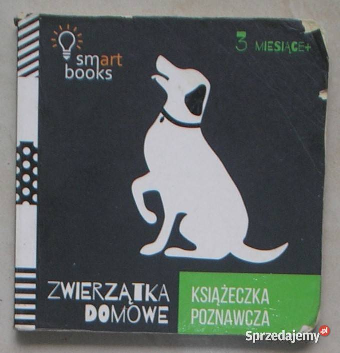 Zwierzątka domowe Książeczka poznawcza dzieci Kraków
