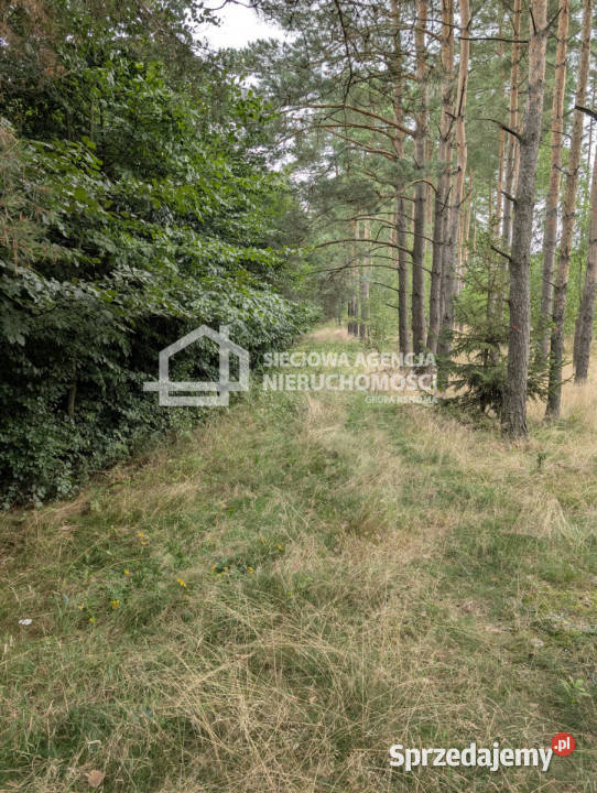 Działka 103582m2 Jaroszewy 10358.2m2 sprzedam