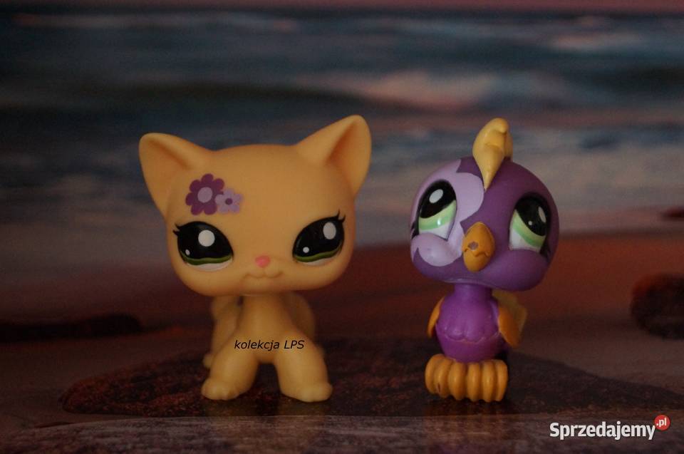 LPS Littlest Pet Shop shorthair 1962 oryginalny Rybnik