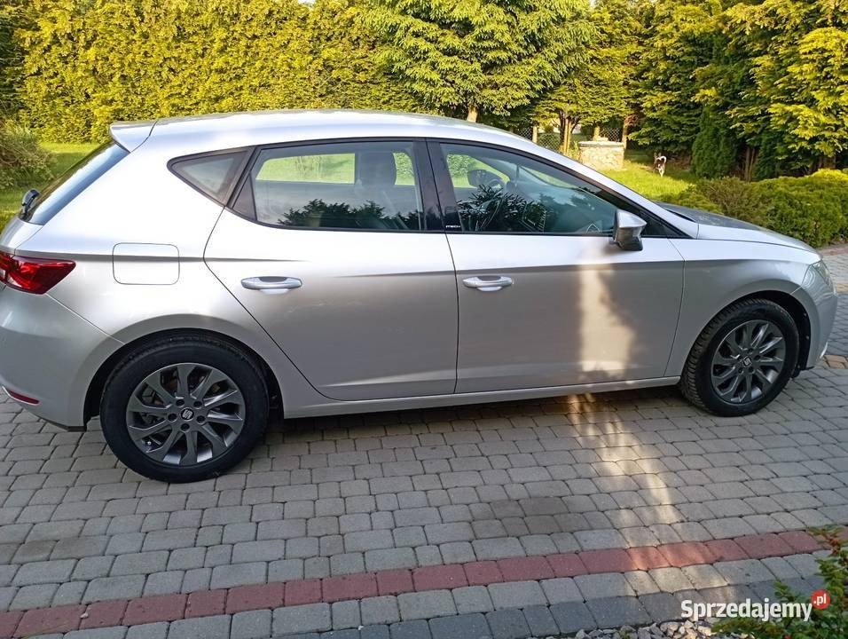 Seata Leona INTECH Seat Wojnicz