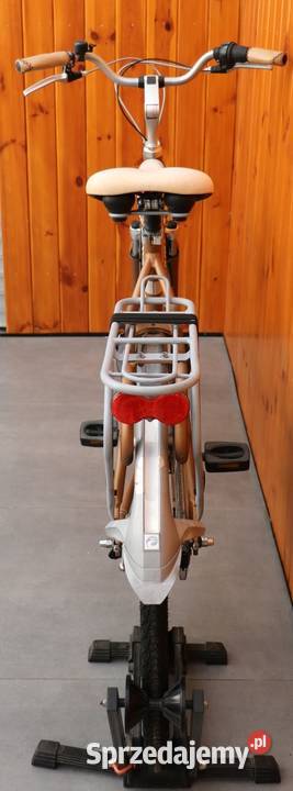 Rower damski Batavus Mambo D 61 I inne rowery Milanówek