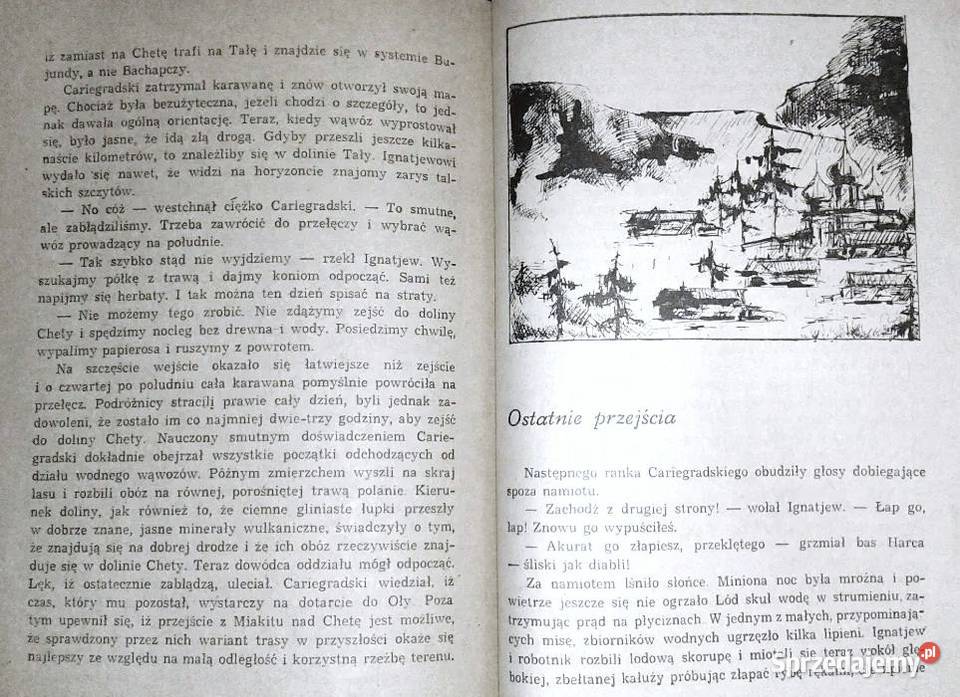 Złota rzeka Jewgienij Ustijew lubelskie Chełm sprzedam