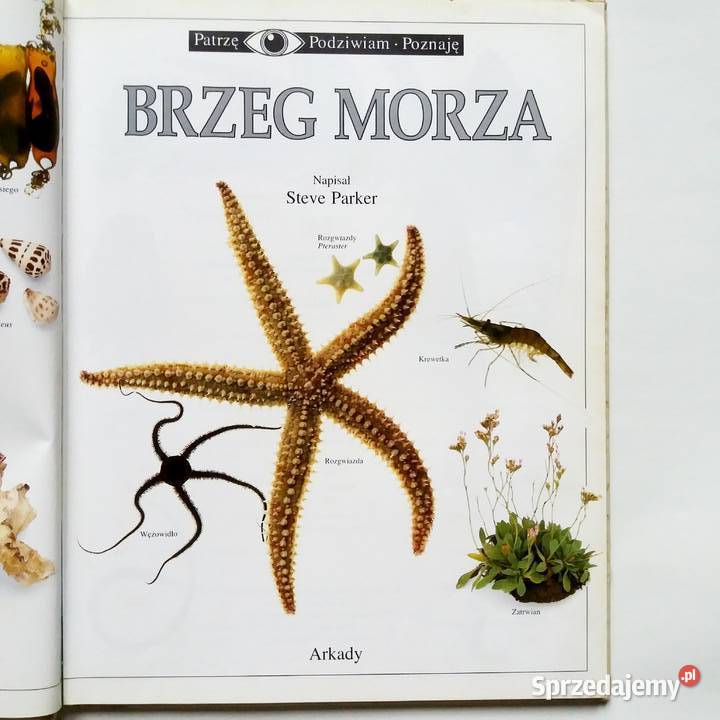 Steve Parker Brzeg morza Poznaj fascynujący Łódź