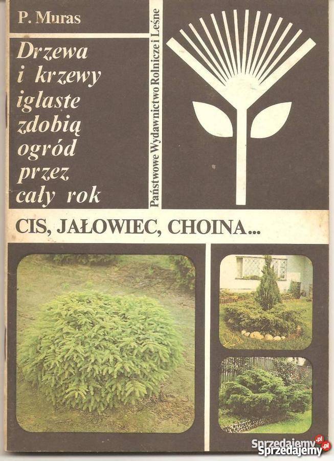 CIS JAŁOWIEC CHOINA P MURAS Poradniki, albumy i reportaże