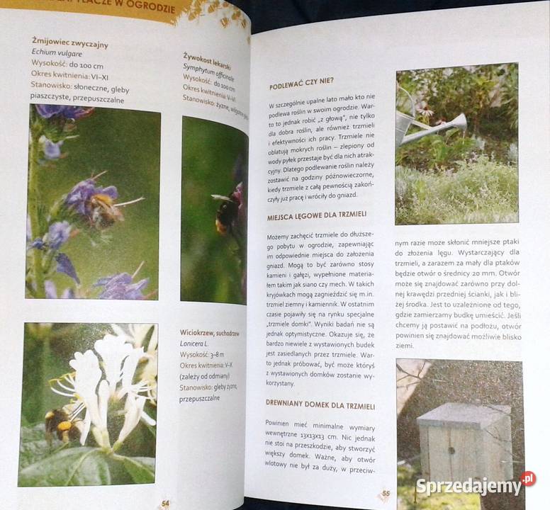 Ogród ostoja zwierząt J Niewolewska Sadownik K Chełm sprzedam