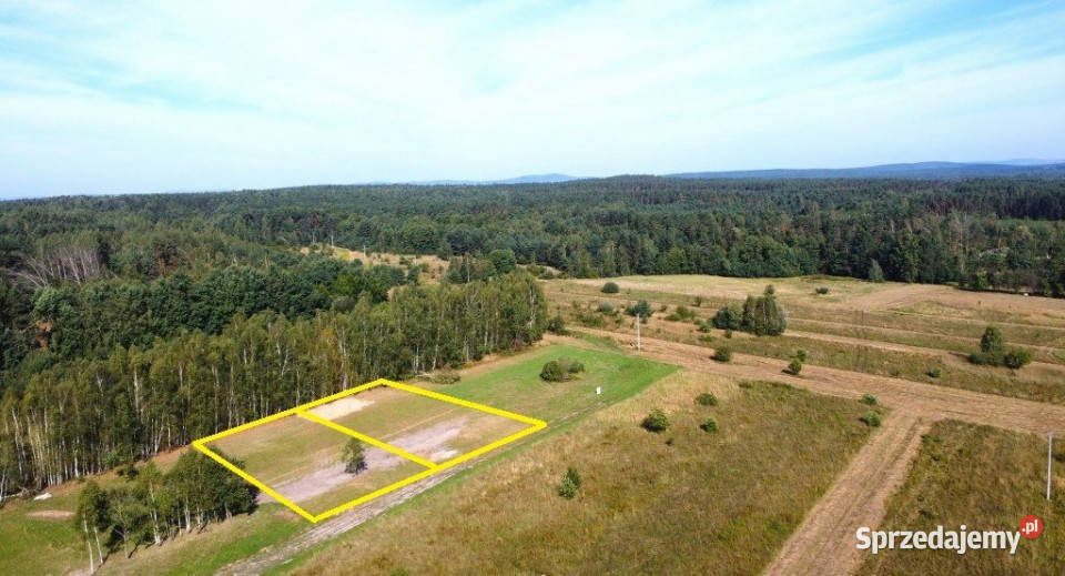 sprzedaży działki Daleszyce 1251m2 gaz
