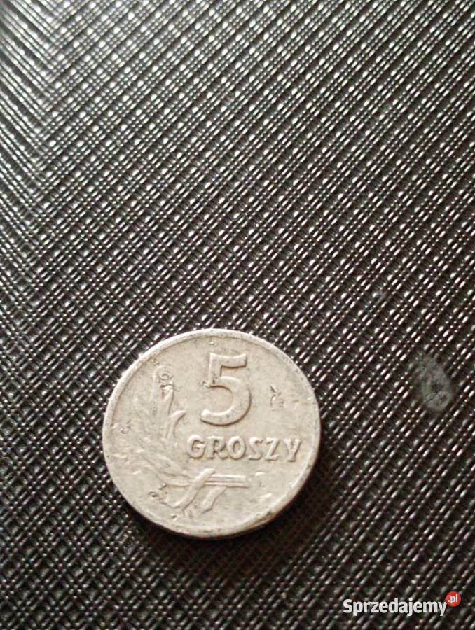 Sprzedam 5 gr 1961 r bzm Chełm