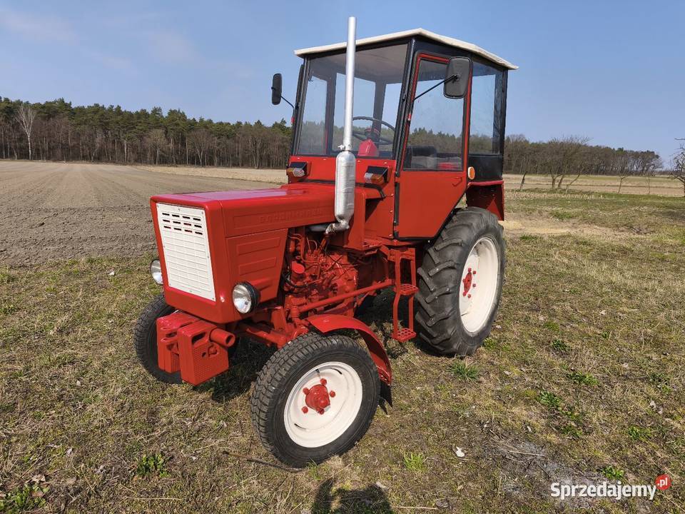 Władimirec t25 Łanięta sprzedam