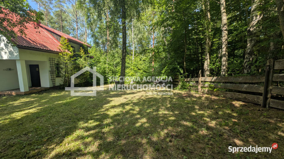 Dom wolnostojący Nowe Czaple 100m2 sprzedam