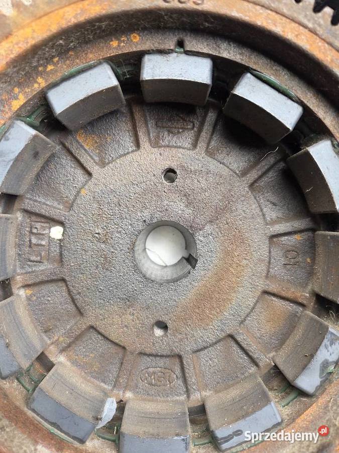 Glowica kolo zamachowe briggs stratton 145 tlok Wiele